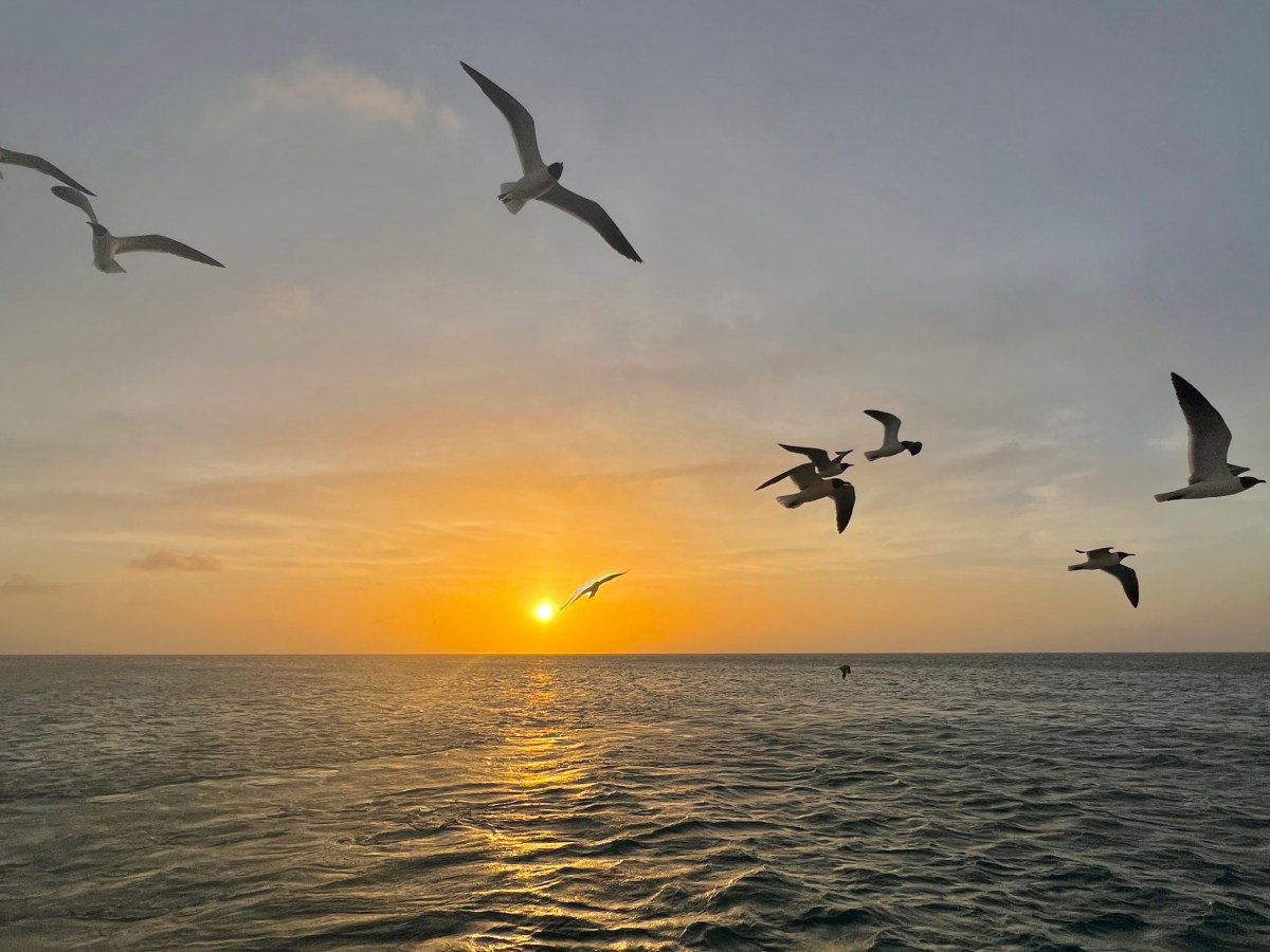 Believing is a&nbsp;Choice